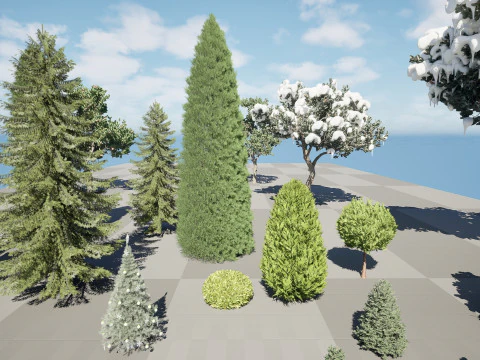 Conifer 3D Pack High-Quality 3D Model