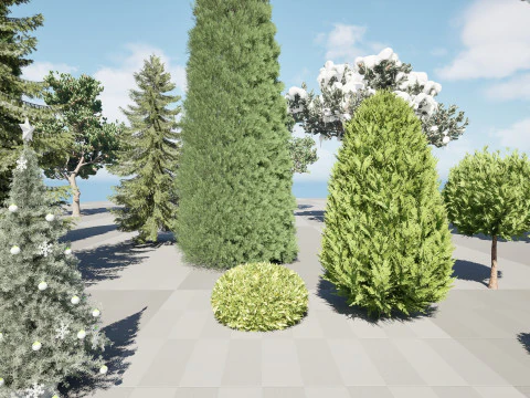 Conifer 3D Pack High-Quality 3D Model