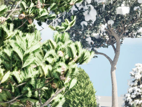 Conifer 3D Pack High-Quality 3D Model