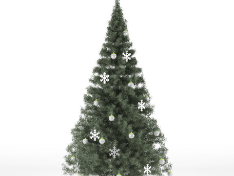 Conifer 3D Pack High-Quality Model 3D