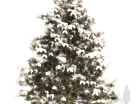 Conifer 3D Pack High-Quality Model 3D