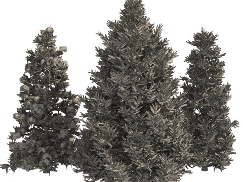 Conifer 3D Pack High-Quality Model 3D