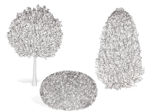 Conifer 3D Pack High-Quality Model 3D