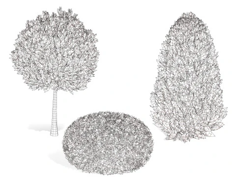 Conifer 3D Pack High-Quality 3D Model