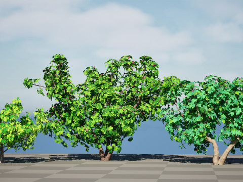 Fig Trees With Fruits 3D Модель