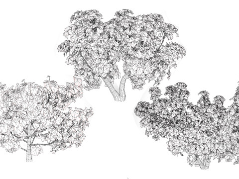 Fig Trees With Fruits 3D Модель