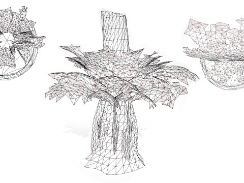 Australian Staghorn Fern 3D-Modell