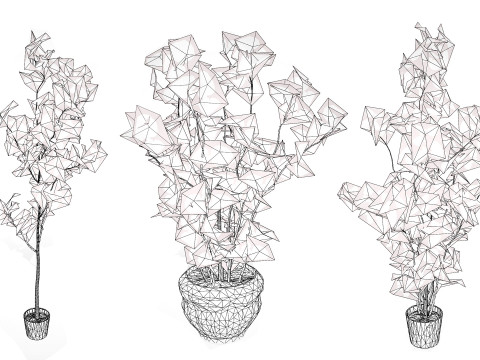 Australian Eucalyptus Bush Seed 3D-Modell