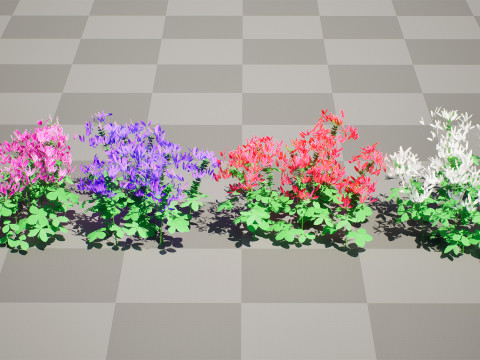 Australian Spider Flower Bush 3D Model