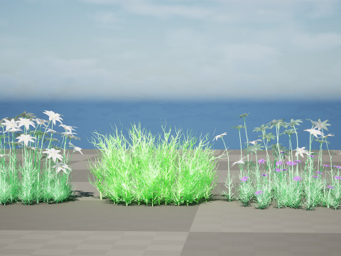 Australian Flannel Flower herbaceous shrubs 3D Model