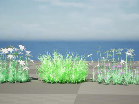 Australian Flannel Flower herbaceous shrubs 3D Model