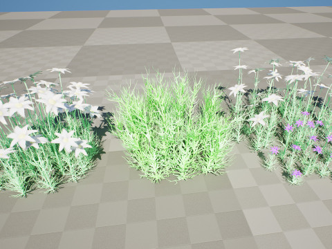 Australian Flannel Flower herbaceous shrubs 3D Model