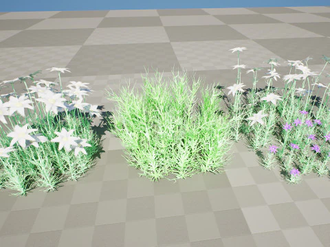 Australian Flannel Flower herbaceous shrubs 3D Model