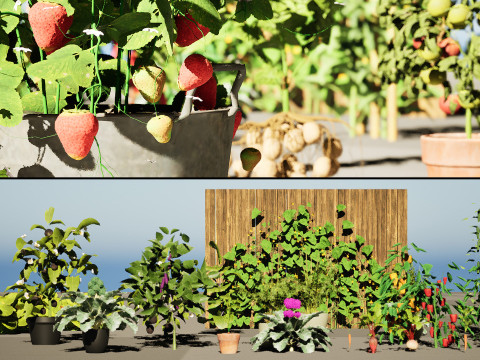 Vegetable Plant 3D Pack Modèle 3D