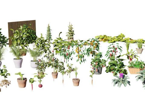 Pacote 3D de plantas vegetais Modelo 3D