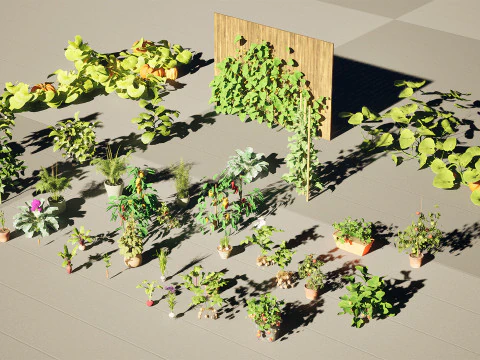 Pacote 3D de plantas vegetais Modelo 3D