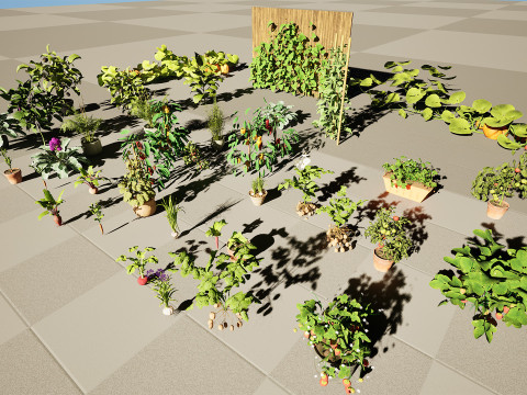 Vegetable Plant 3D Pack Modelo 3D