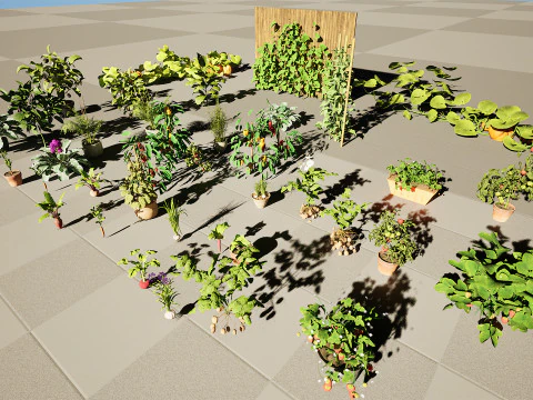 Pacote 3D de plantas vegetais Modelo 3D
