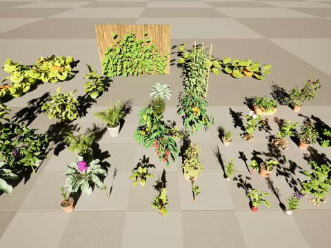 Vegetable Plant 3D Pack Modelo 3D