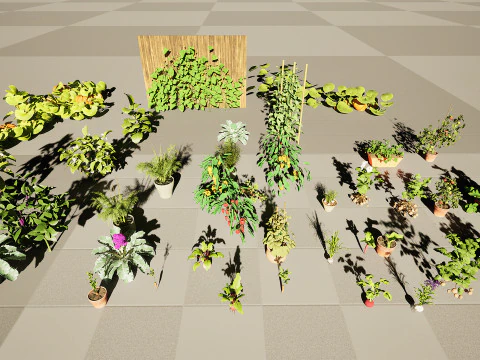 Pacote 3D de plantas vegetais Modelo 3D
