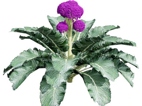 Pacote 3D de plantas vegetais Modelo 3D