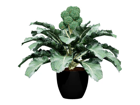 Pacote 3D de plantas vegetais Modelo 3D