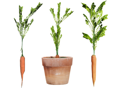 Vegetable Plant 3D Pack Modelo 3D