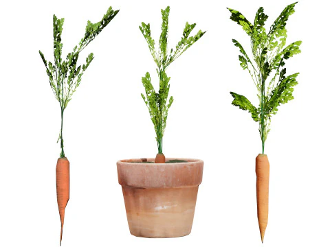 Pacote 3D de plantas vegetais Modelo 3D