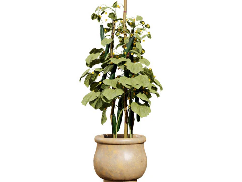 Pacote 3D de plantas vegetais Modelo 3D