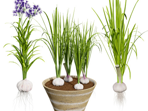 Vegetable Plant 3D Pack Modelo 3D