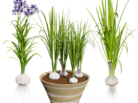 Pacote 3D de plantas vegetais Modelo 3D