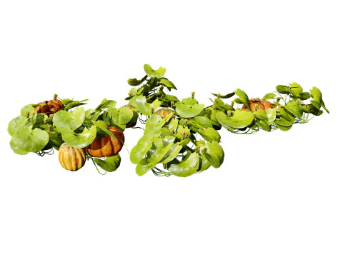 Pacote 3D de plantas vegetais Modelo 3D