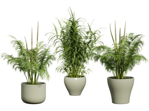 Vegetable Plant 3D Pack Modelo 3D