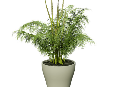Vegetable Plant 3D Pack Modelo 3D