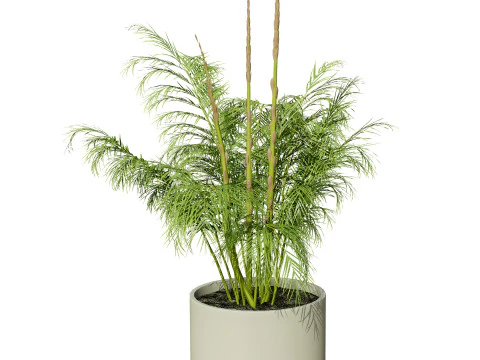 Pacote 3D de plantas vegetais Modelo 3D