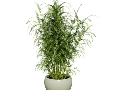 Pacote 3D de plantas vegetais Modelo 3D