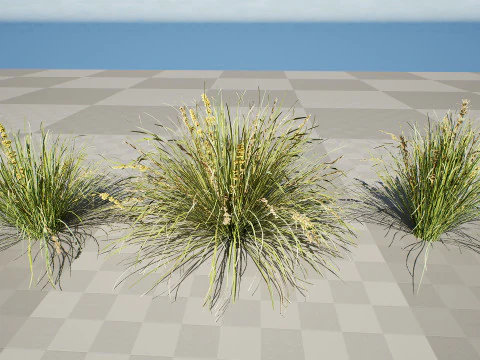 Australian Lomandra longifolia Pack 3D Model