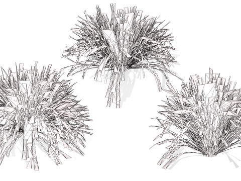 Australian Lomandra longifolia Pack 3D Model
