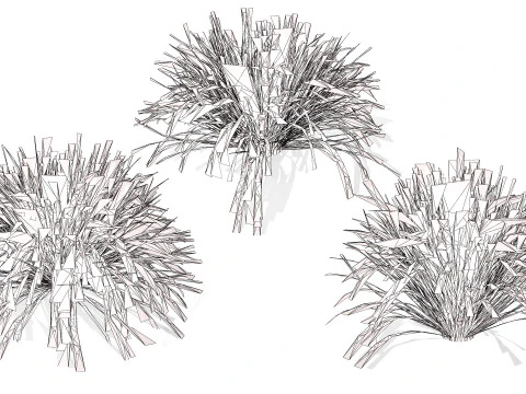 Australian Lomandra longifolia Pack 3D Model