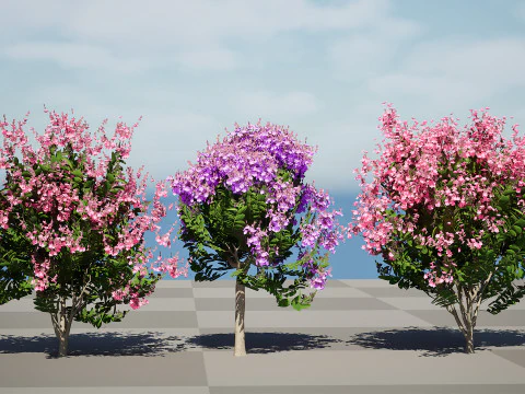 Indien Lagerstroemia Speciosa Baum Kleine Art 3D Modell