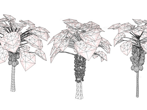 Papaya Tree Modello 3D