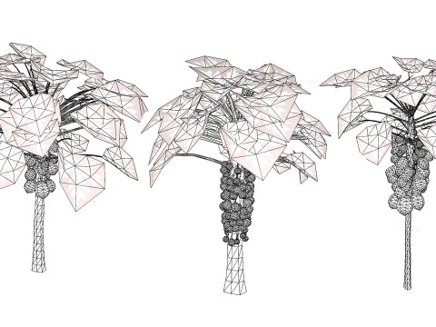 Papaya Tree 3D Model