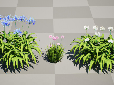 Flander Agapanthus Flowering Plants 3D Model