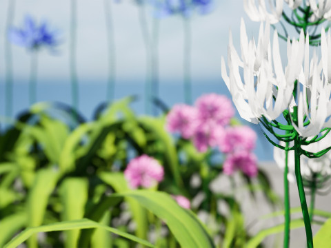 Flander Agapanthus Flowering Plants 3D Model