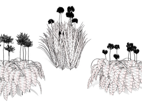 Flander Agapanthus Flowering Plants 3D Model