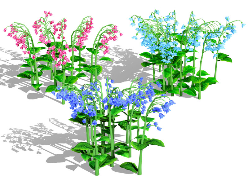 Australian Bluebell Flowers 3D Модель .c4d .max .obj .3ds .fbx .stl .blend
