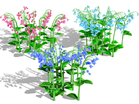 Avustralya Bluebell &Ccedil;i&ccedil;ekleri 3D Model