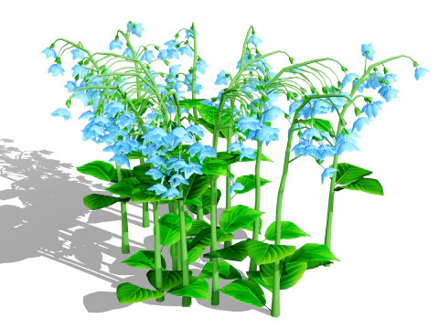 Australian Bluebell Flowers 3D Model
