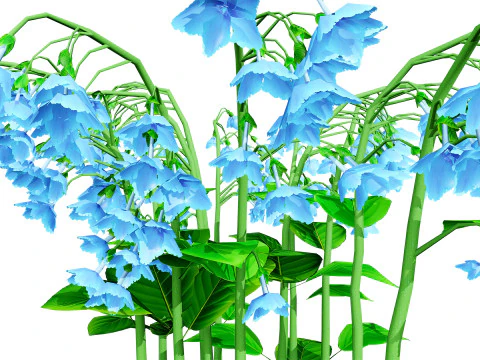 Australian Bluebell Flowers 3D Model