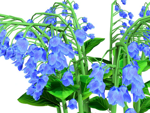 Australian Bluebell Flowers 3D Model